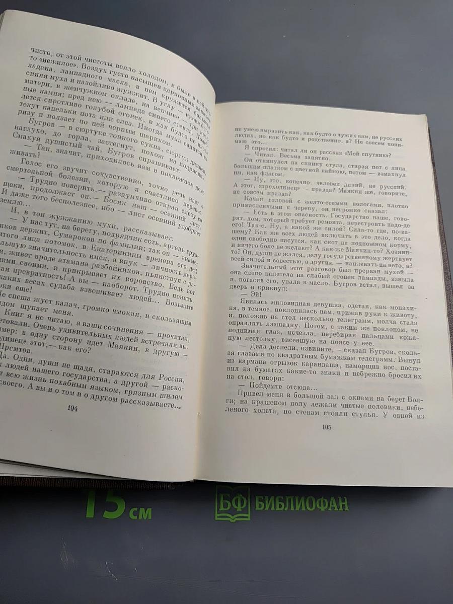 Собрание художественных произведений. Том семнадцатый: Заметки из дневника. Воспоминания. Рассказы 1922-1924 годов