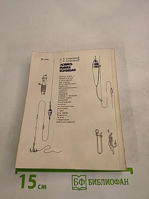 Ловись рыбка большая