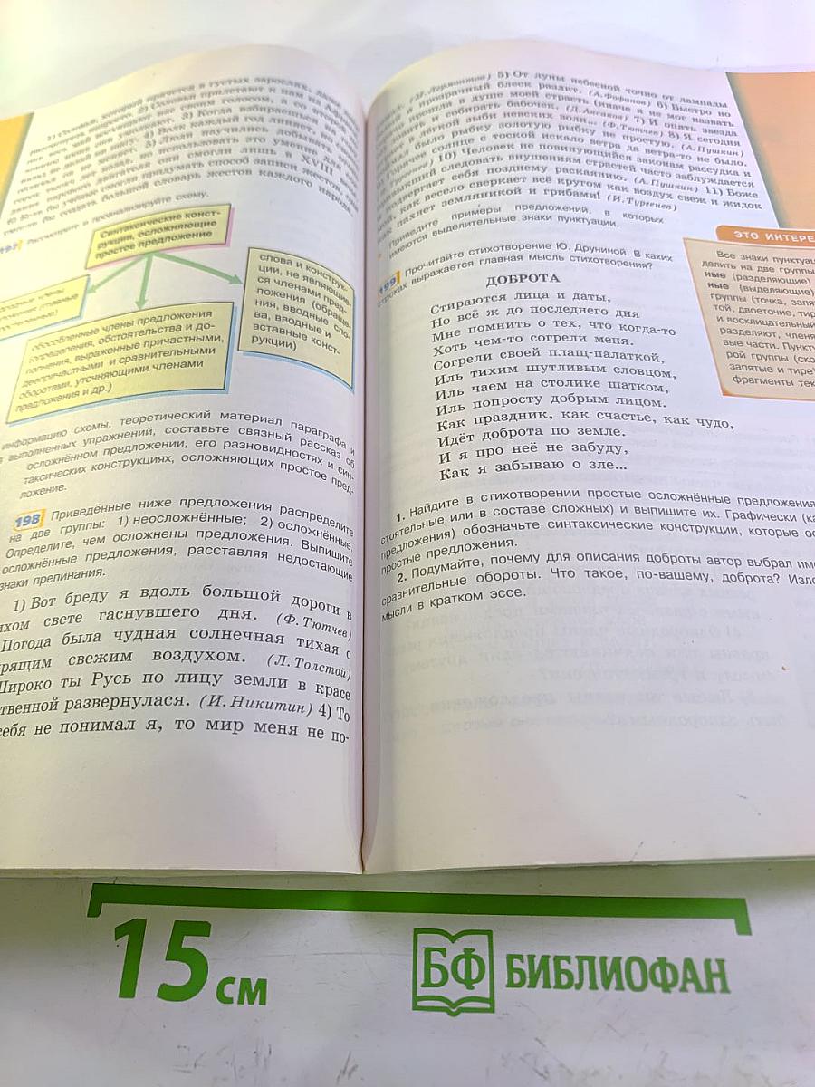 Русский язык 8 класс