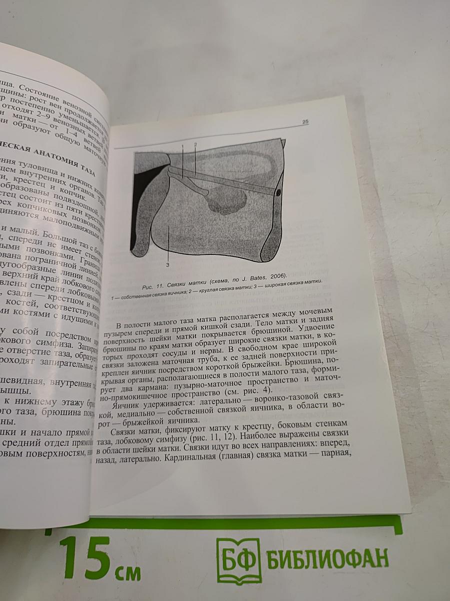 Лучевая анатомия молочных желез и органов малого таза женщины