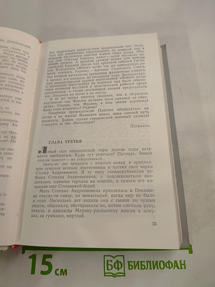 Братья и сестры. Две зимы и три лета