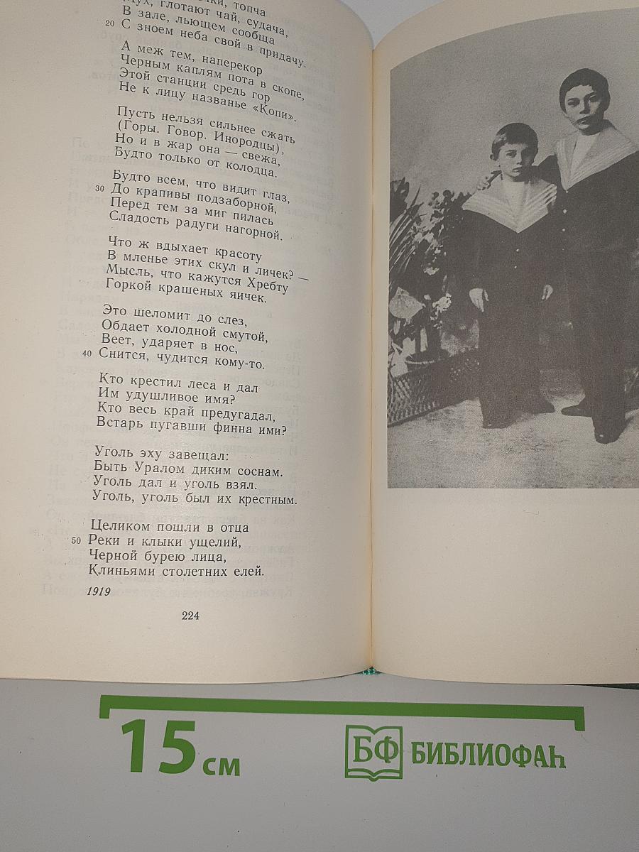 Стихотворения и поэмы. Том первый