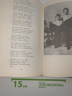 Стихотворения и поэмы. Том первый