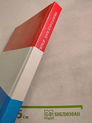 Нидерландский язык. Практический курс