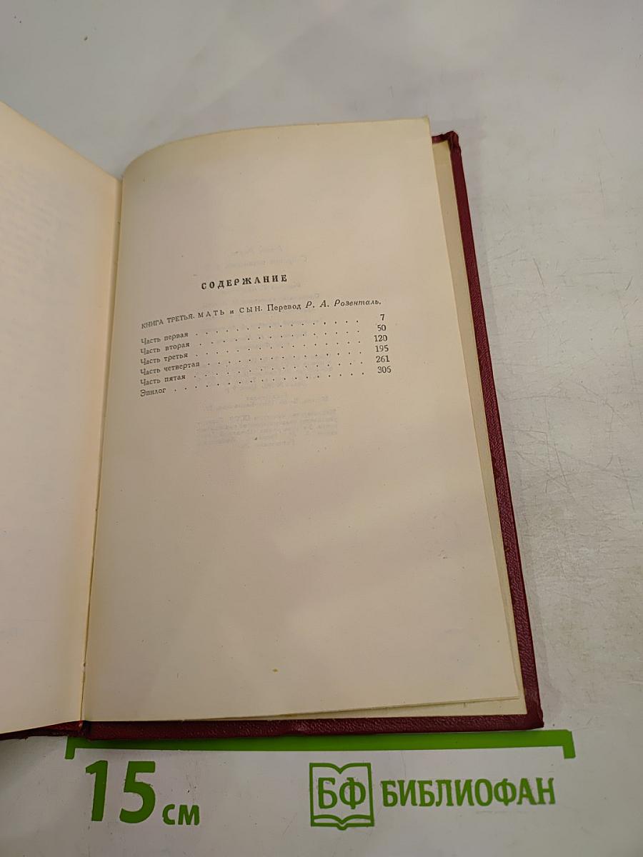 Собрание сочинений. Том девятый. Очарованная душа. Книга третья