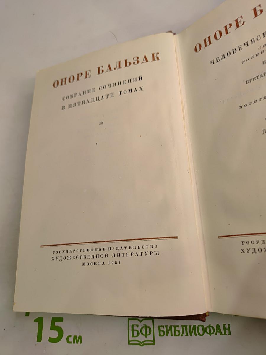 Сцены военной и политической жизни