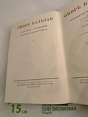 Сцены военной и политической жизни