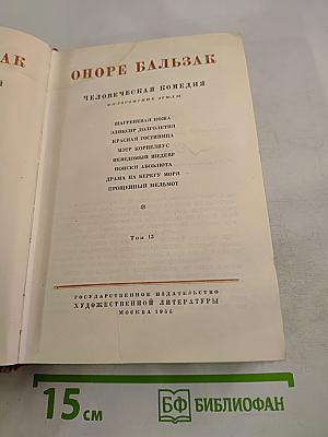 Бальзак. Человеческая комедия. Философские этюды. Том 13