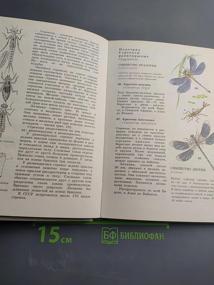 Школьный Атлас - определитель беспозвоночных