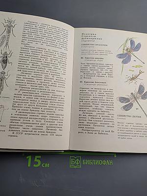 Школьный Атлас - определитель беспозвоночных