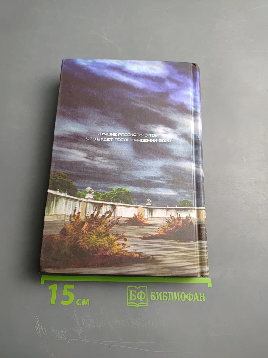 Постэпидемия