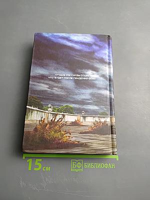 Постэпидемия