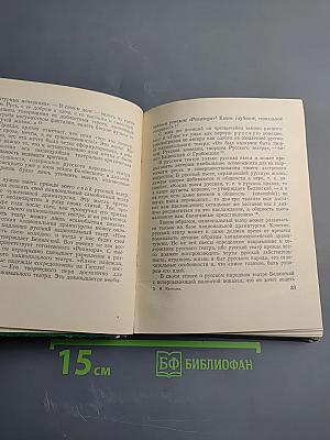 Белинский театральный критик