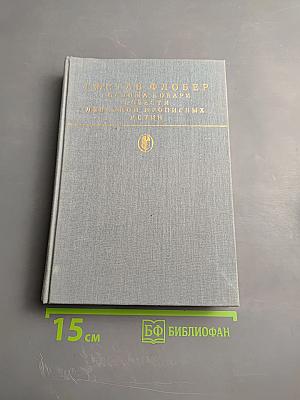 Госпожа Бовари. Повести. Лексикон прописных истин