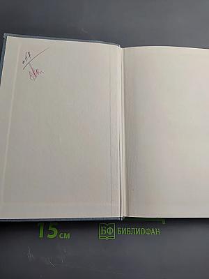 Госпожа Бовари. Повести. Лексикон прописных истин