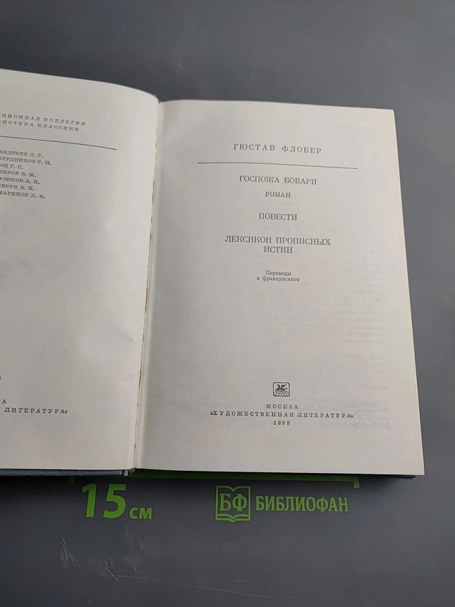 Госпожа Бовари. Повести. Лексикон прописных истин