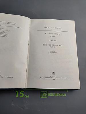 Госпожа Бовари. Повести. Лексикон прописных истин