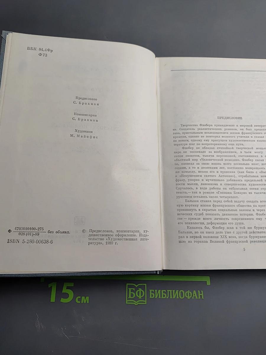 Госпожа Бовари. Повести. Лексикон прописных истин