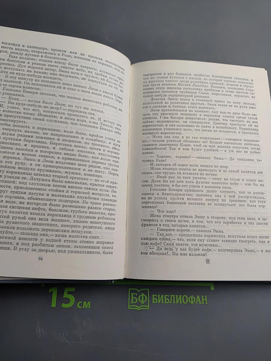Госпожа Бовари. Повести. Лексикон прописных истин