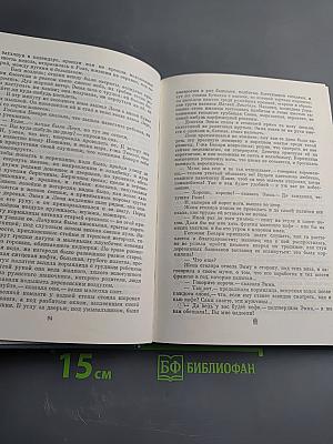 Госпожа Бовари. Повести. Лексикон прописных истин