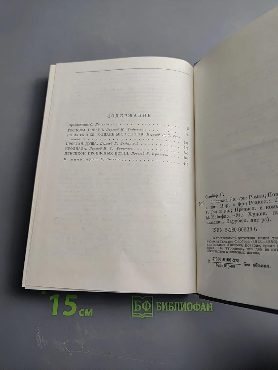 Госпожа Бовари. Повести. Лексикон прописных истин