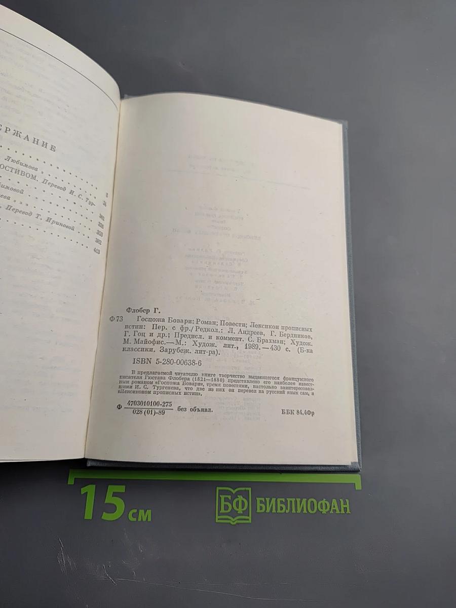 Госпожа Бовари. Повести. Лексикон прописных истин