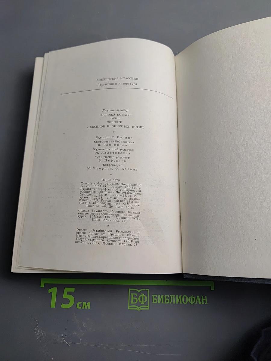Госпожа Бовари. Повести. Лексикон прописных истин