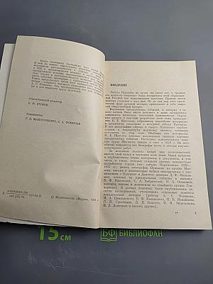 Пушкин в 1836 году (Предыстория последней дуэли)