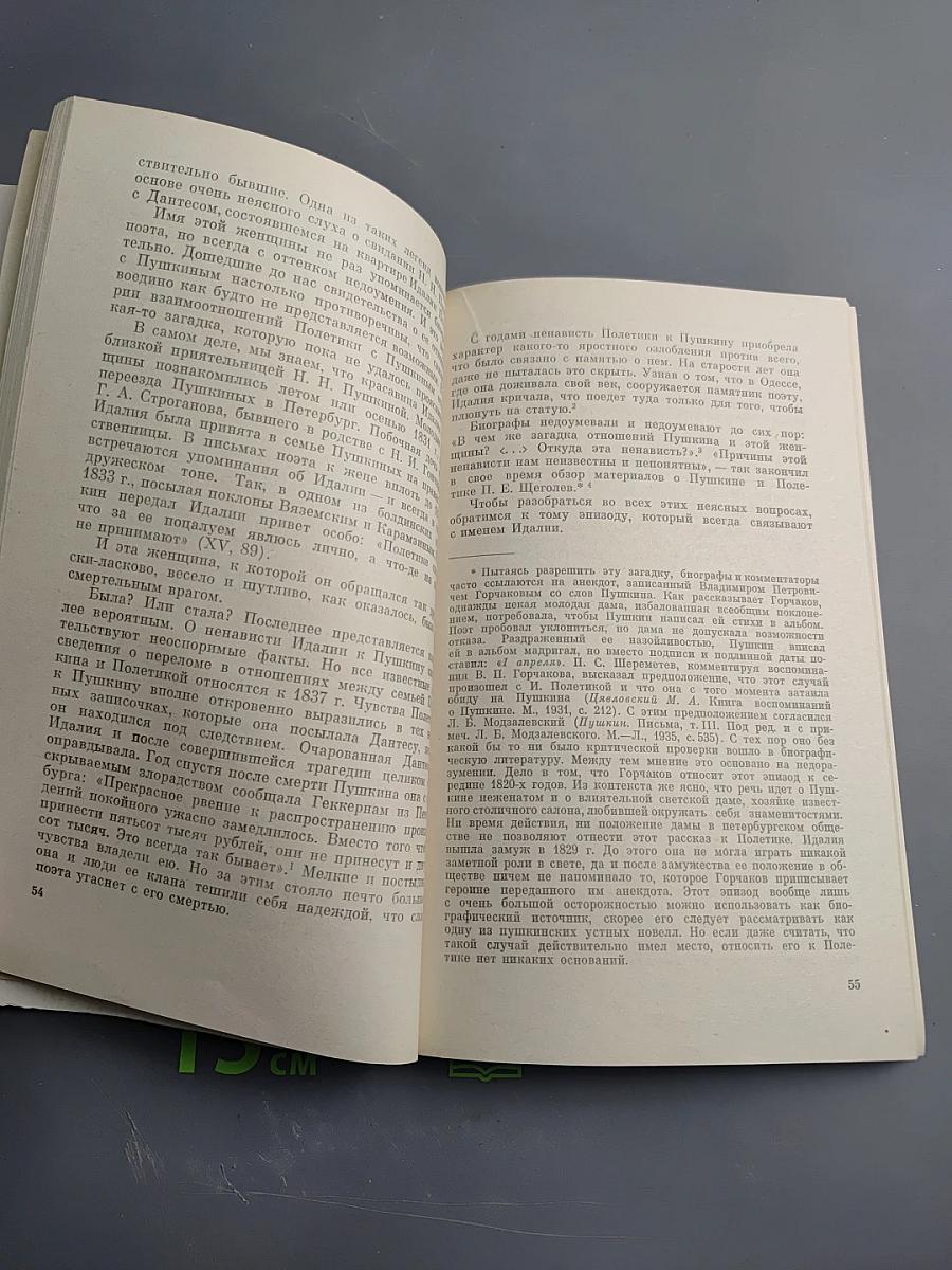 Пушкин в 1836 году (Предыстория последней дуэли)