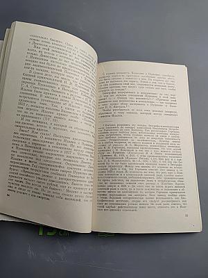 Пушкин в 1836 году (Предыстория последней дуэли)