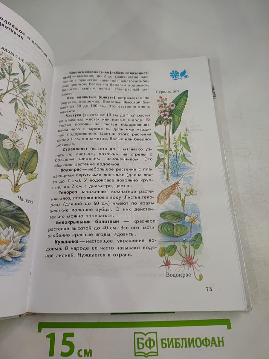 Зелёный Дом: Атлас-определитель От земли до неба