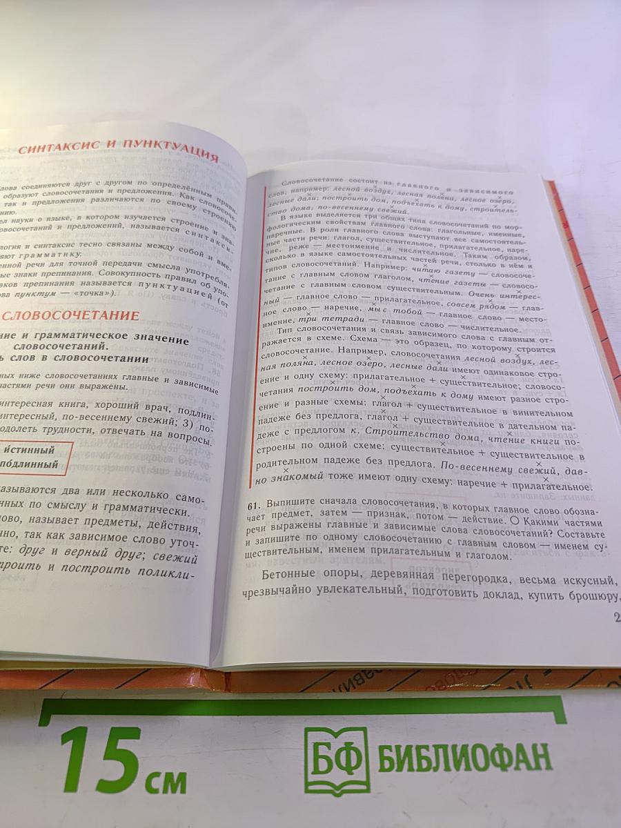 Русский язык 8 класс