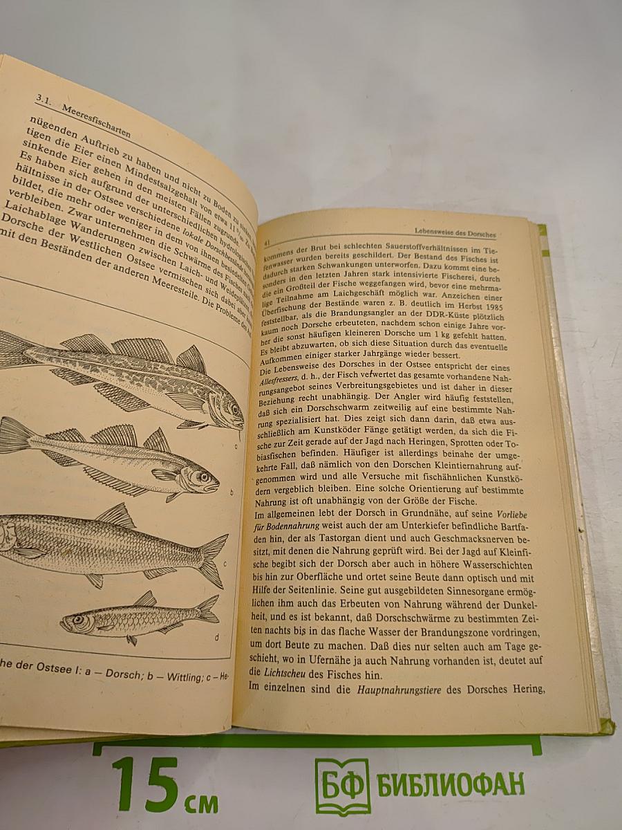 Wir angeln in der Ostsee