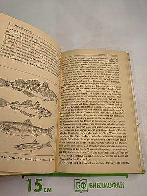 Wir angeln in der Ostsee