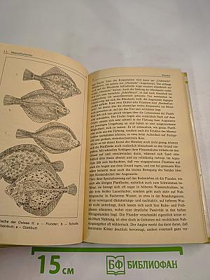 Wir angeln in der Ostsee