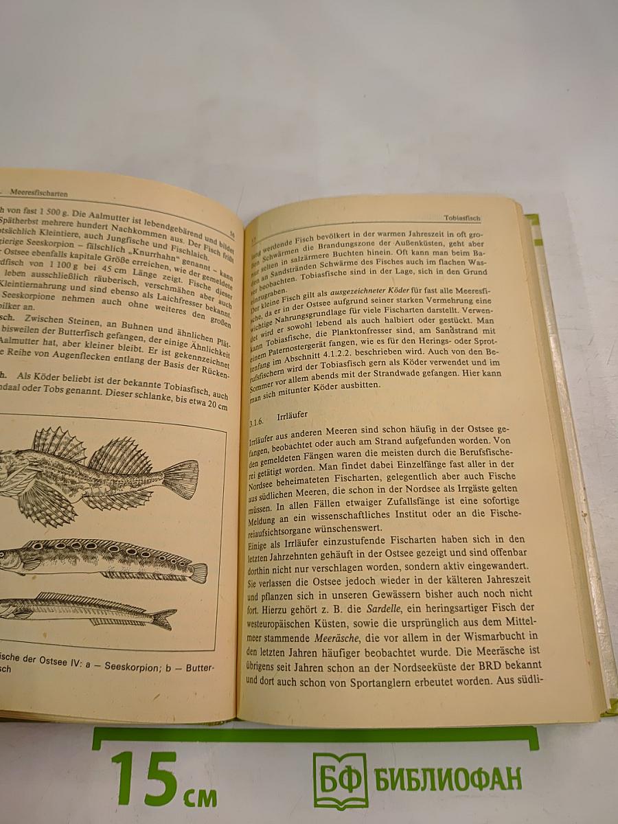 Wir angeln in der Ostsee