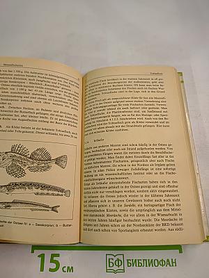 Wir angeln in der Ostsee