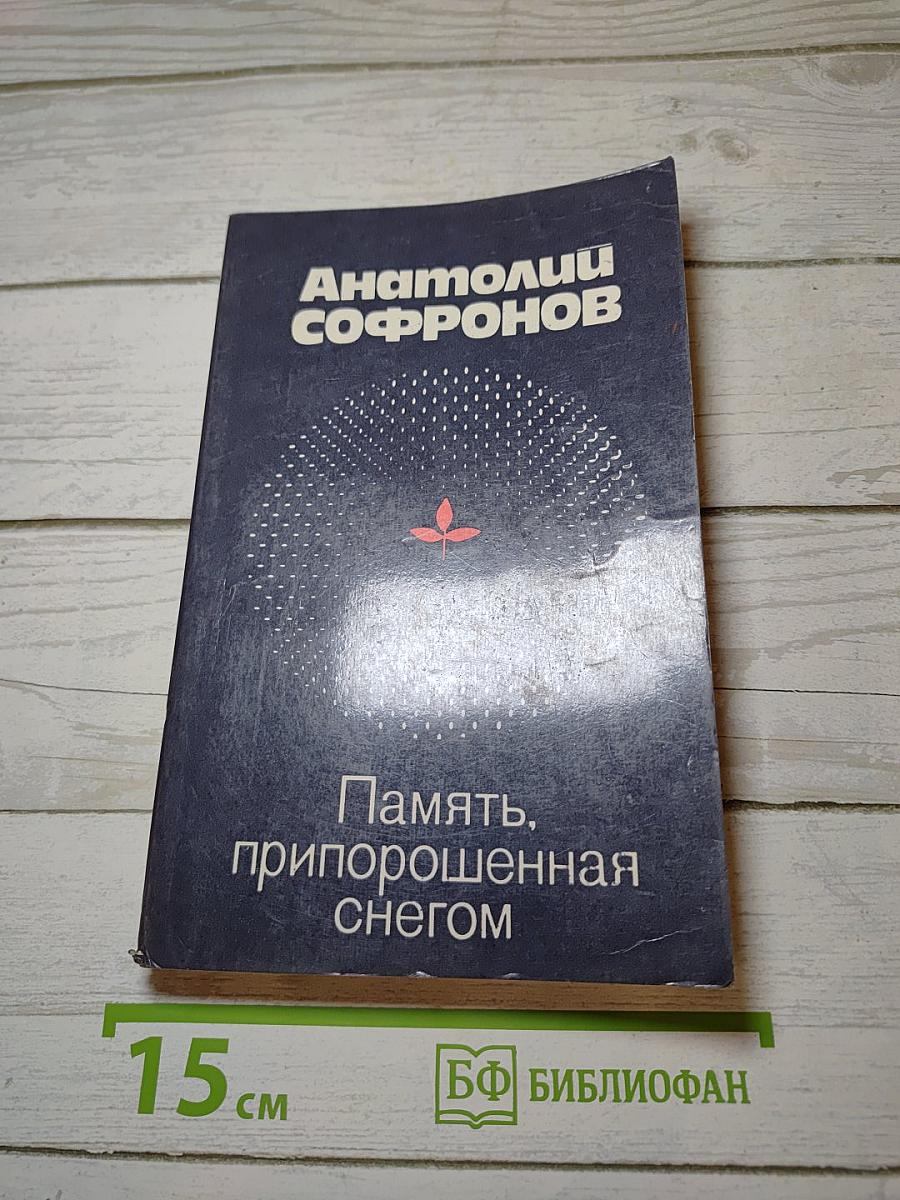 Память, припорошенная снегом