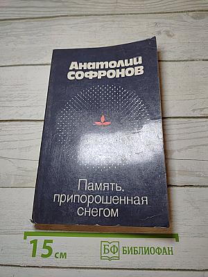 Память, припорошенная снегом