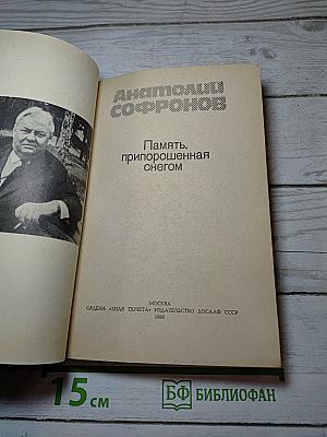Память, припорошенная снегом