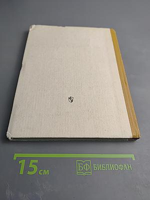 Английский язык. Учебное пособие для 10 класса средней школы. Интенсивный курс