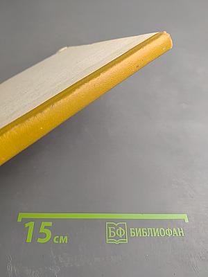 Английский язык. Учебное пособие для 10 класса средней школы. Интенсивный курс