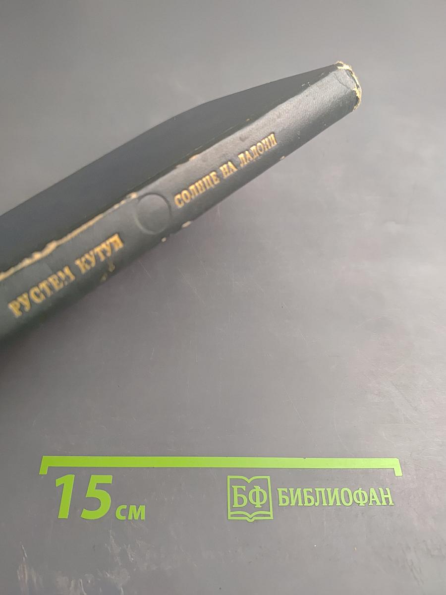 Солнце на ладони. Повести и рассказы