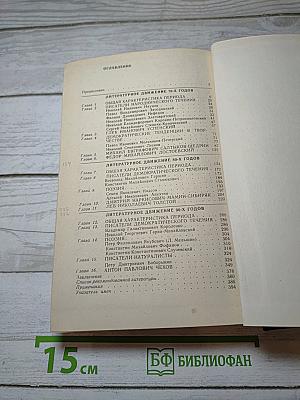 История русской литературы XIX века. 70-90-е годы