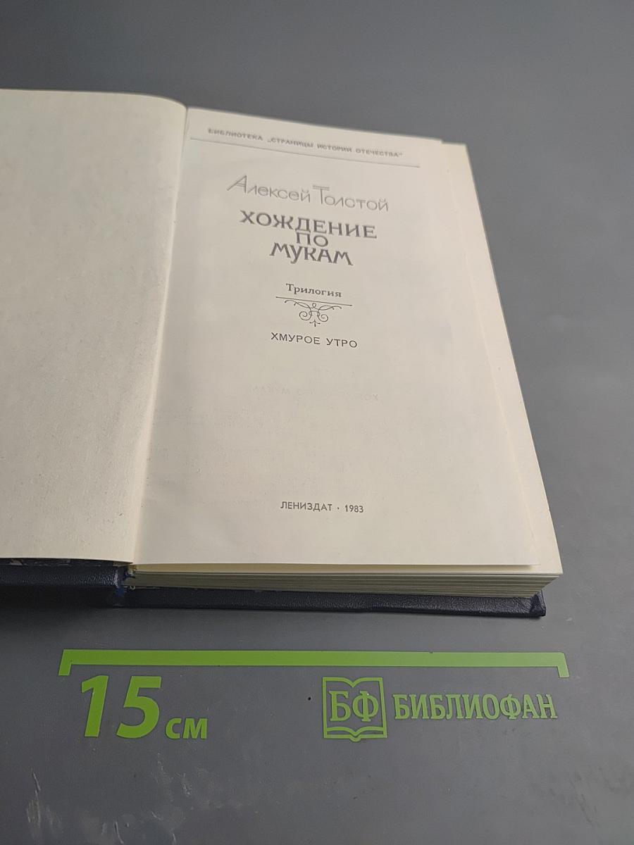 Хождение по мукам. Трилогия. Книга третья: Хмурое утро