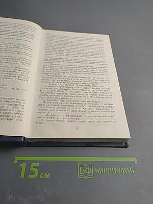 Хождение по мукам. Трилогия. Книга третья: Хмурое утро
