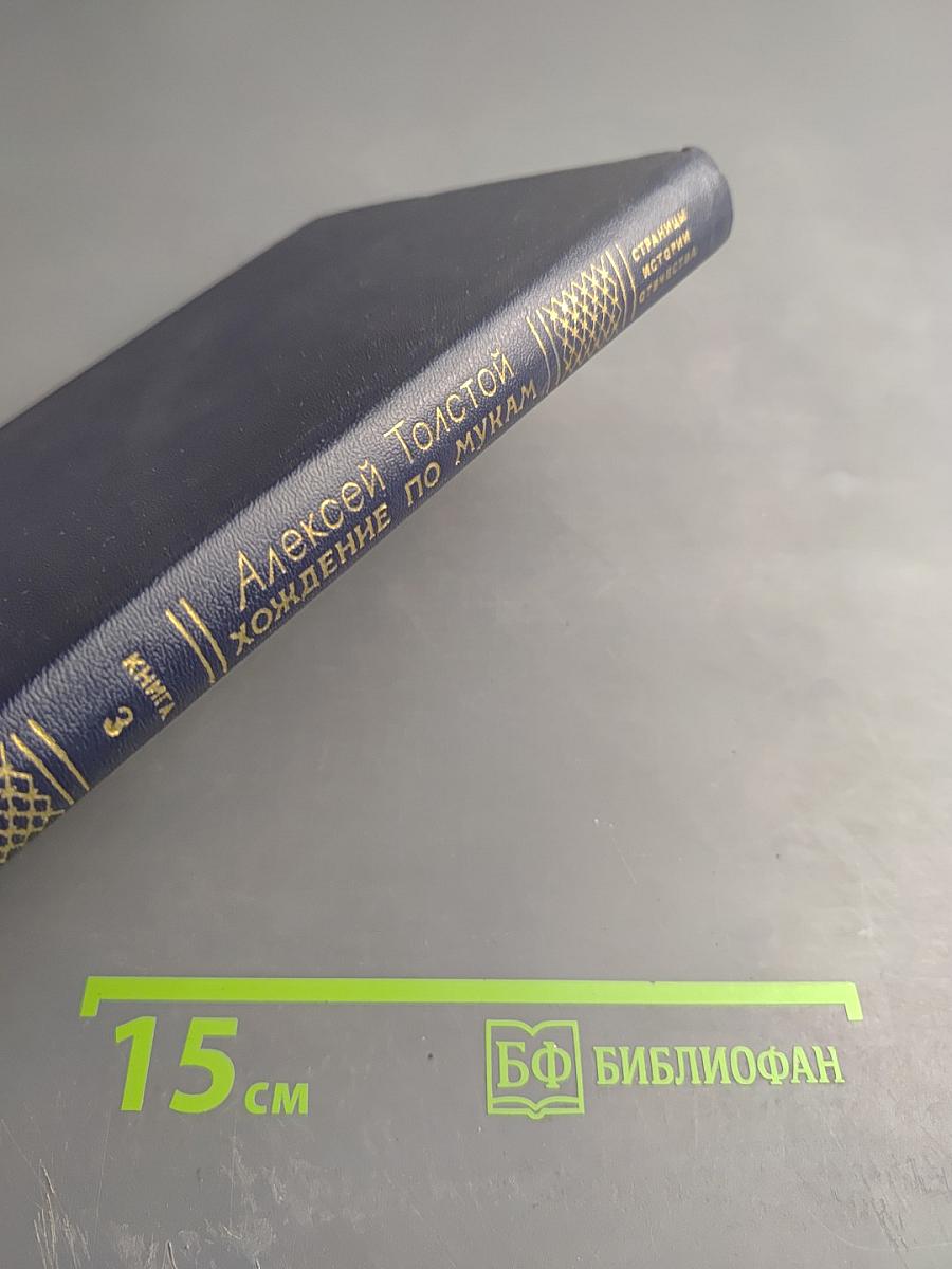 Хождение по мукам. Трилогия. Книга третья: Хмурое утро