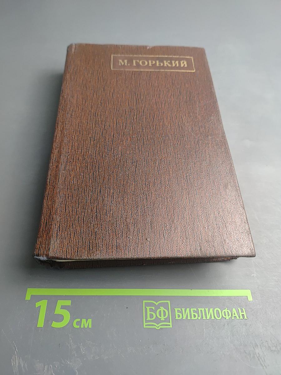 Жизнь Клима Самгина. Том двадцать четвертый