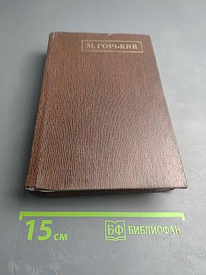 Жизнь Клима Самгина. Том двадцать четвертый