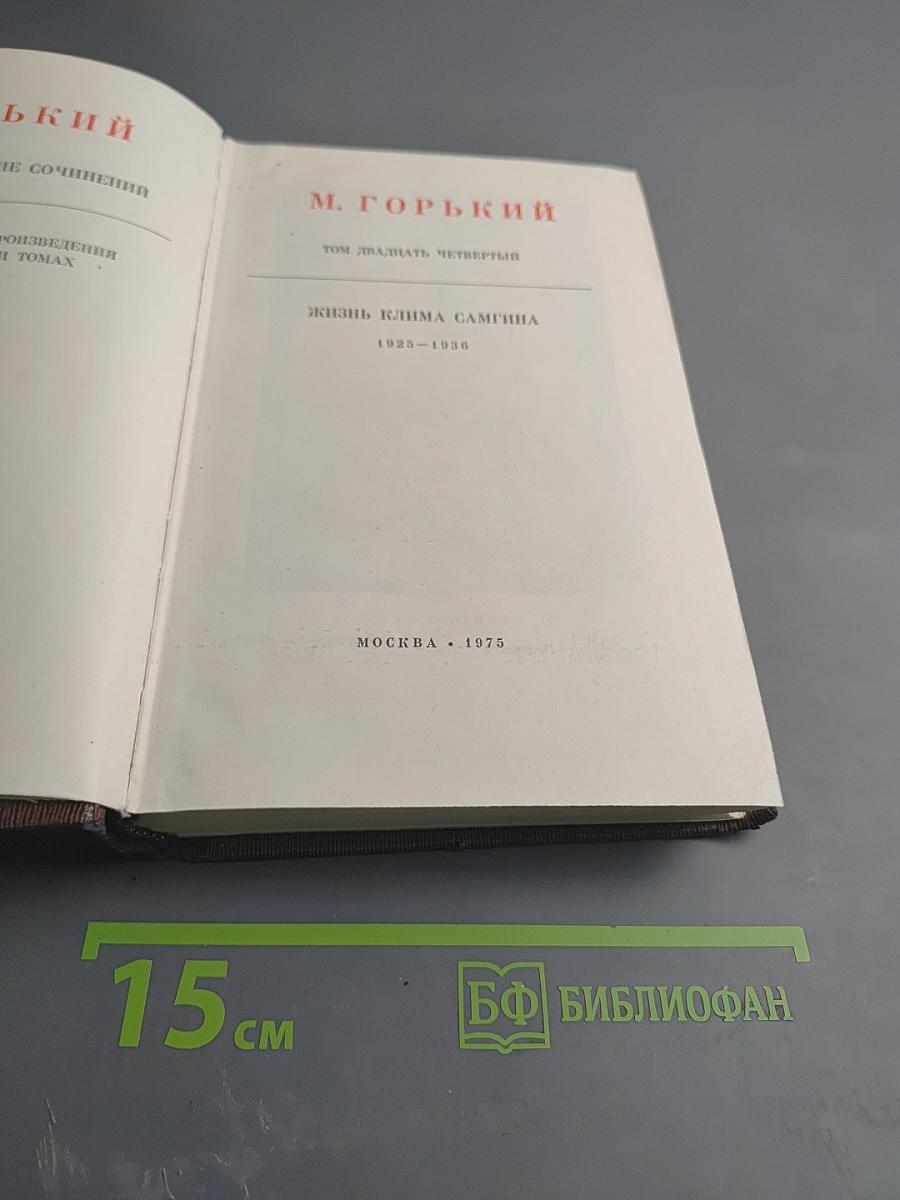 Жизнь Клима Самгина. Том двадцать четвертый